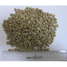 High Quality Brazil coffee beans free sample
